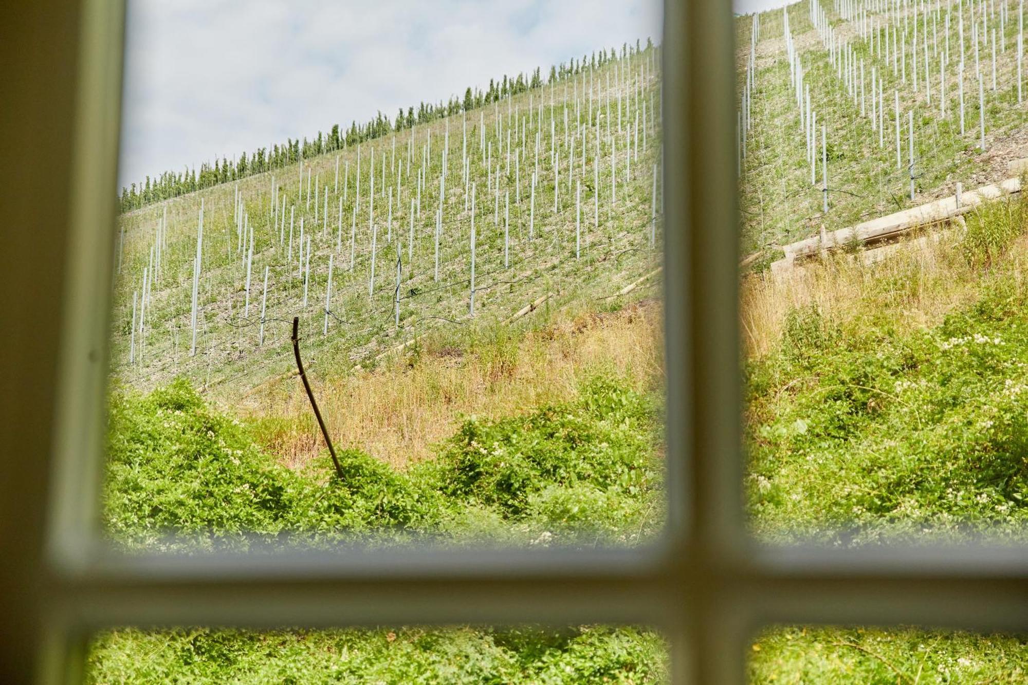 Ferienhaus Alte Muehle ベルンカステル・クース エクステリア 写真